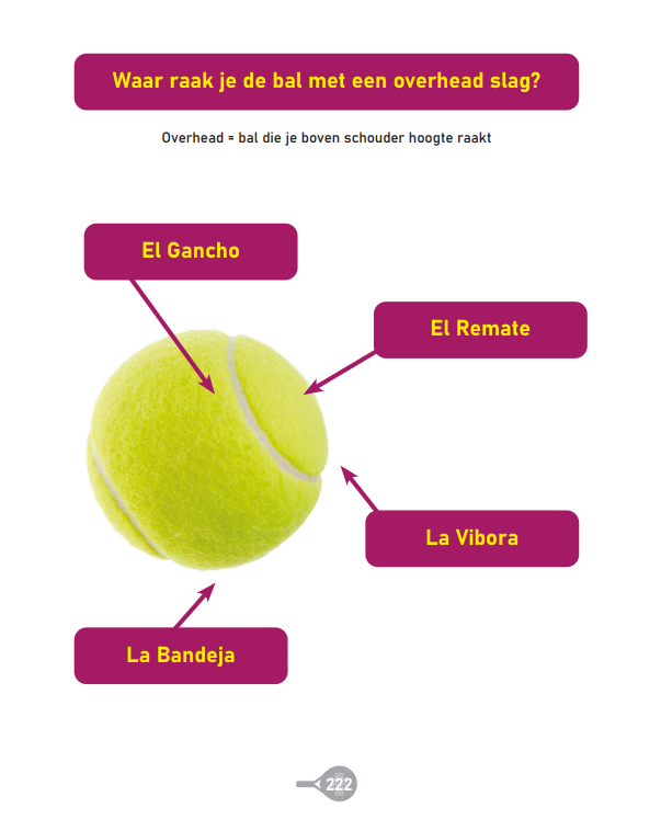 Voorbeeldpagina uit het boek